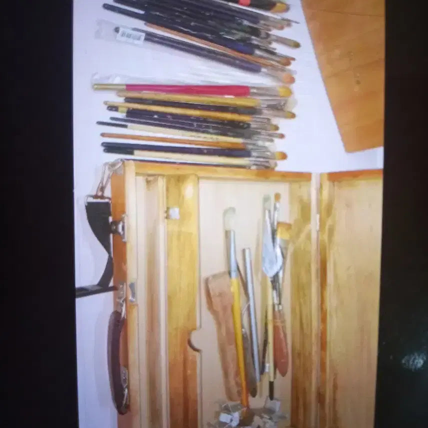 [BUNJANG] Various Artist Brush Set / 미술용 붓 세트 (화홍, 다이아몬드 등)