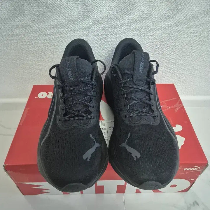 [BUNJANG] Puma Magnify Nitro 280 / 푸마 매그맥스 나이트로 280