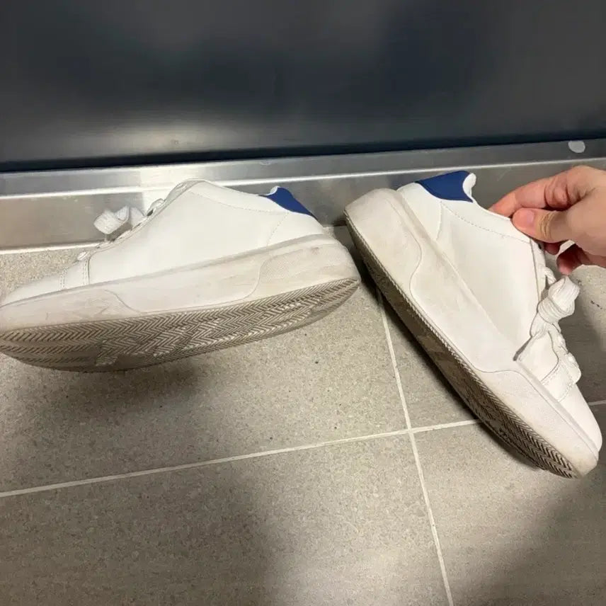 [BUNJANG] MLB LA Dodgers Sneakers 240mm / MLB LA Dodgers 스니커즈 240mm