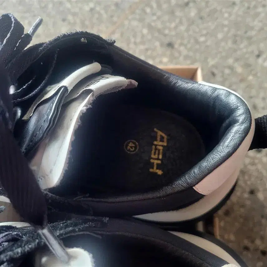 [BUNJANG] Ash Men's Sneakers Size 42 / 아쉬  남자 스니커즈 42사이즈