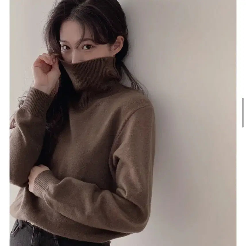 [BUNJANG] Slow & [Washable] Turtleneck Knit - Brown / [슬로우앤드] 도톰 워셔블 터틀넥니트 - 브라운