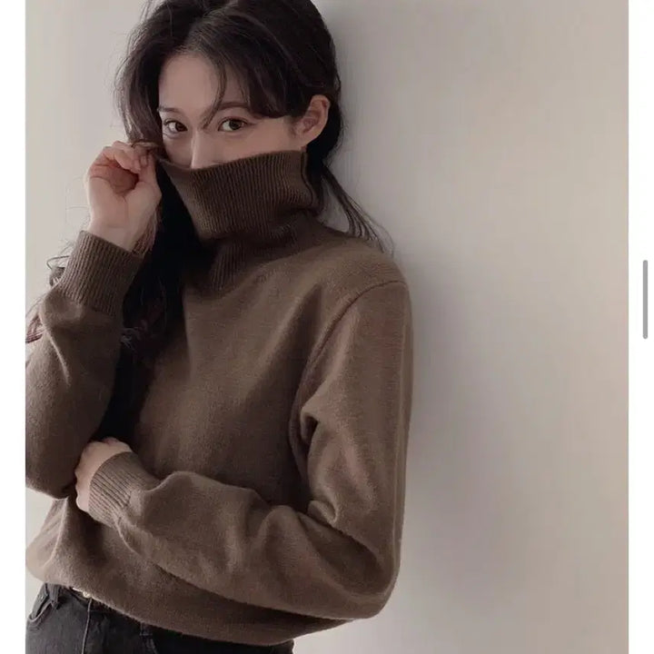 [BUNJANG] Slow & [Washable] Turtleneck Knit - Brown / [슬로우앤드] 도톰 워셔블 터틀넥니트 - 브라운
