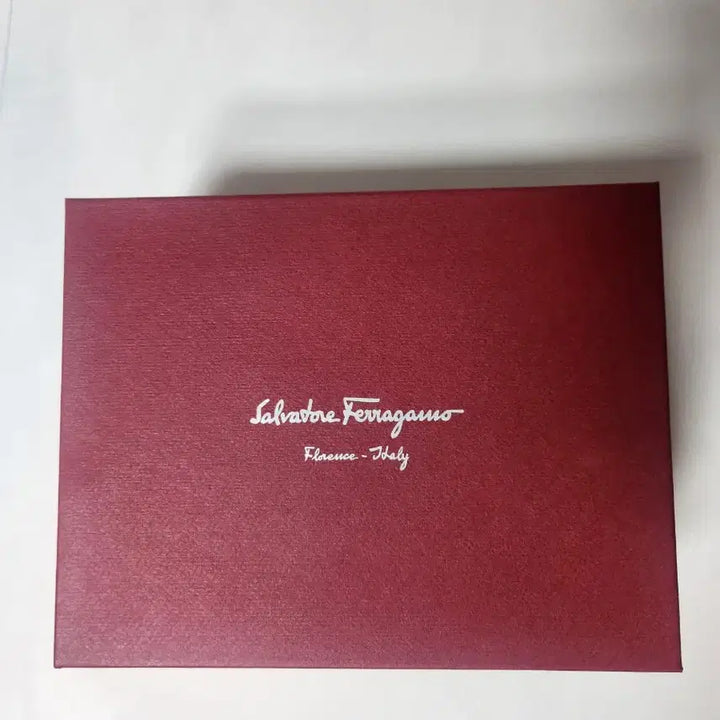 [BUNJANG] Ferragamo Mini Genie Bag / 페레가모 미니 지니백