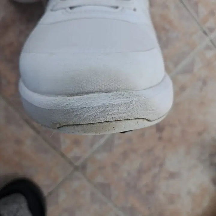 [BUNJANG] Nike Flyhawk Golf Shoes / 나이키 플링호크 골프화