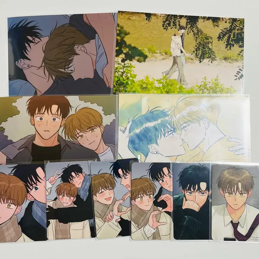 [BUNJANG] Seventeen Tiger Goods Bundle Set / 범을 길들이는 요령 범요령 굿즈 일괄