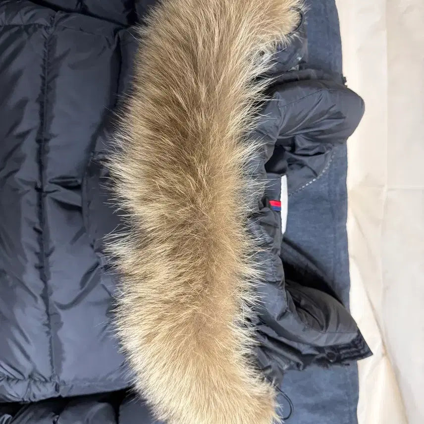 [BUNJANG] Moncler Cluny Padded Jacket / 몽클레어 클루니 패딩 1사이즈