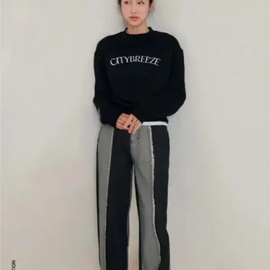 [BUNJANG] 시티브리즈 배색 데님팬츠 / 시티브리즈 배색 데님팬츠