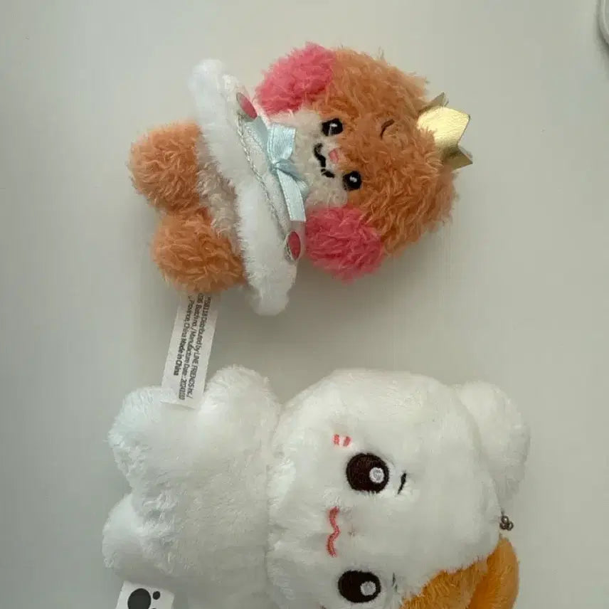 [BUNJANG] ZB1 Sung Hanbin Prince Beanie Bundle Set / 제베원 프린스비니니 솜한빈 일괄 판매