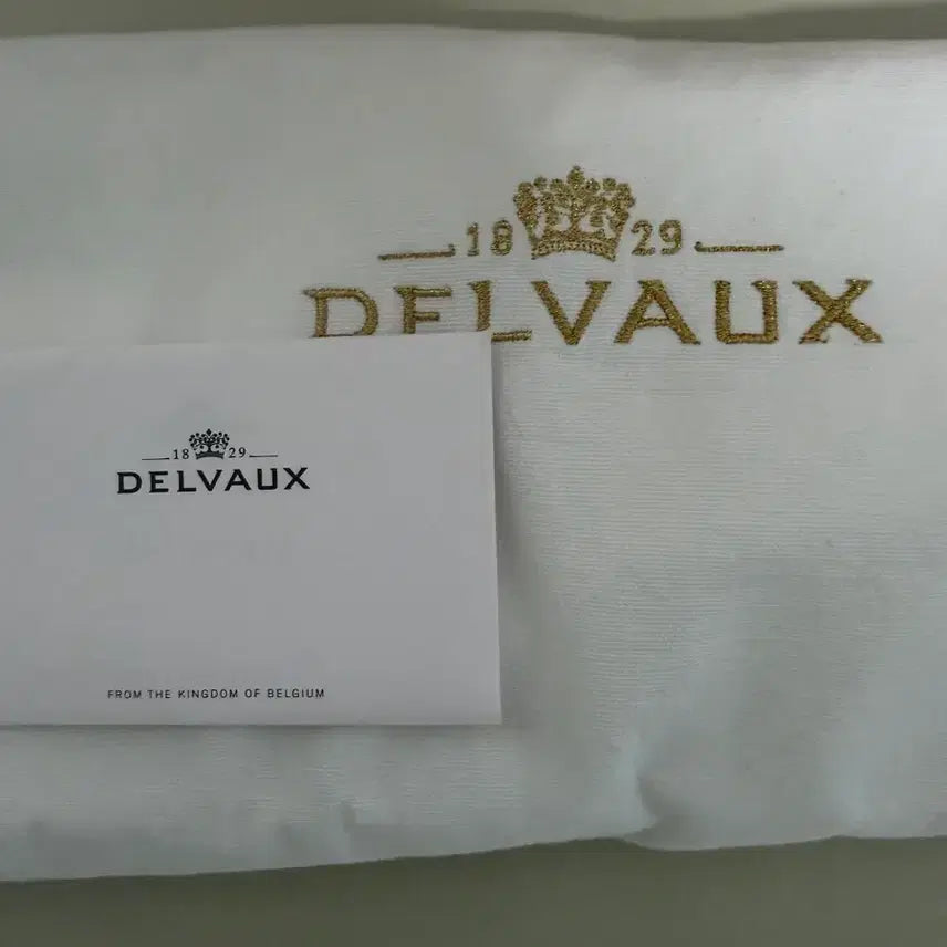 [BUNJANG] Delvaux Pin [GM] / 델보 핀(팡) [GM]
