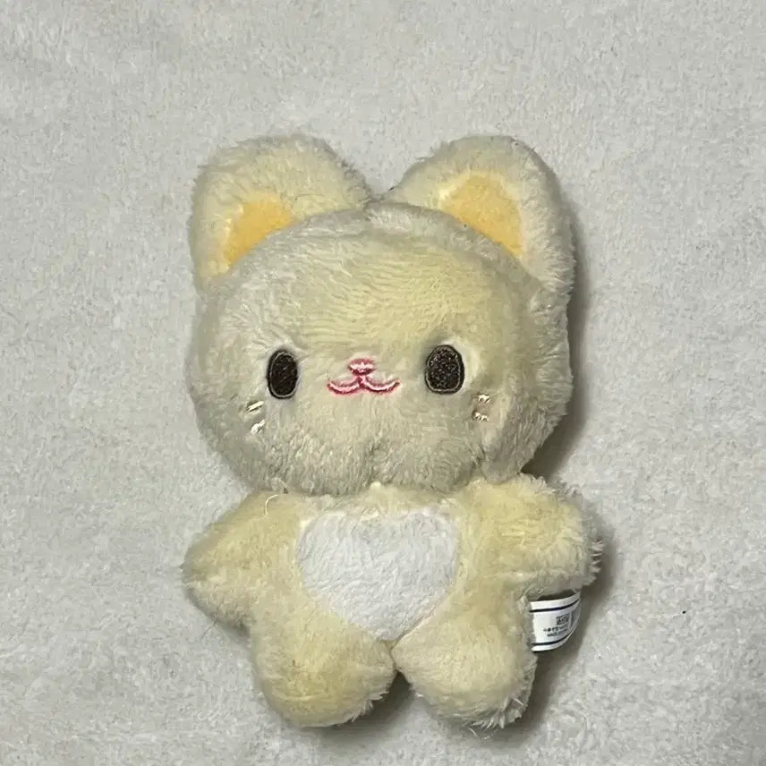 [BUNJANG] ZB1 Vanilla Bean Doll / 급처) ZB1 제로베이스원 바닐라빈 인형