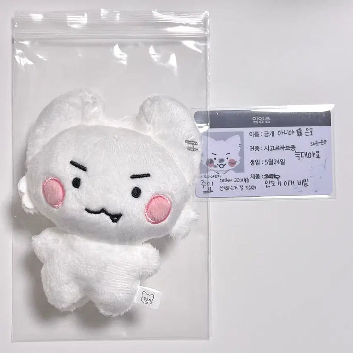 [BUNJANG] PLAVE Eunho Amkeunggae Item / 플레이브 은호 암긍개