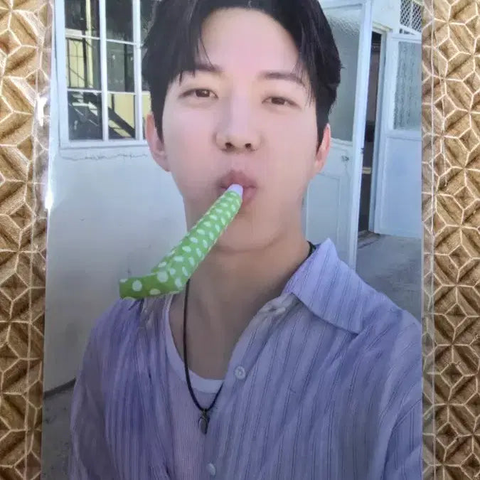 [BUNJANG] DAY6 Dowoon Photocard / 도운 포카