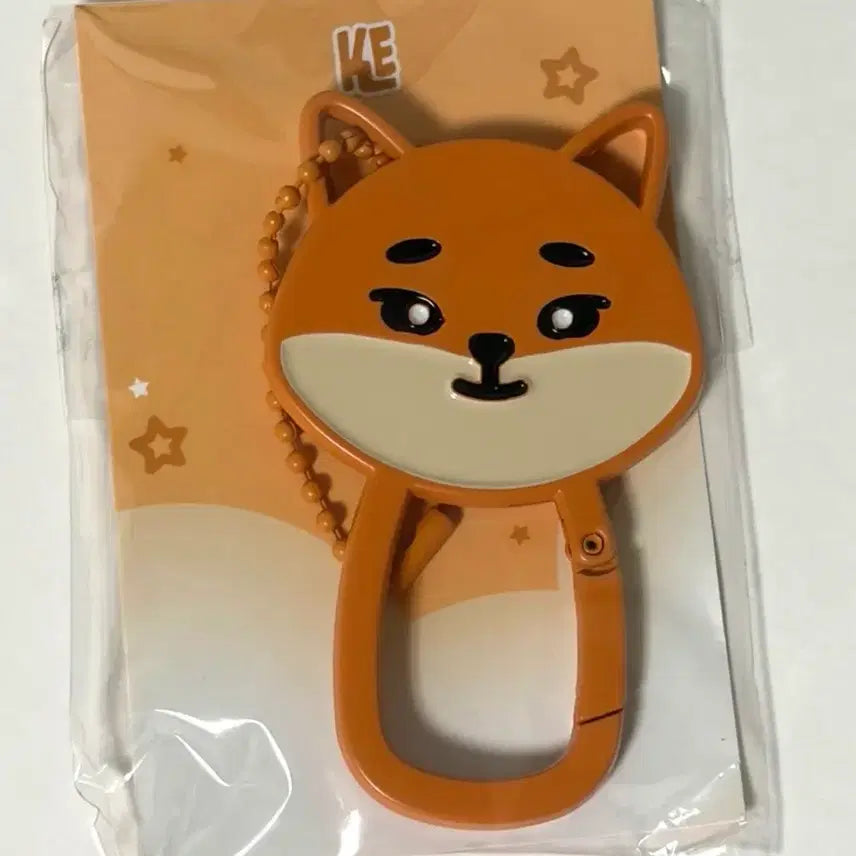 [BUNJANG] Day6 Young K Carabiner / 데이식스 영케이 카라비너(새상품)