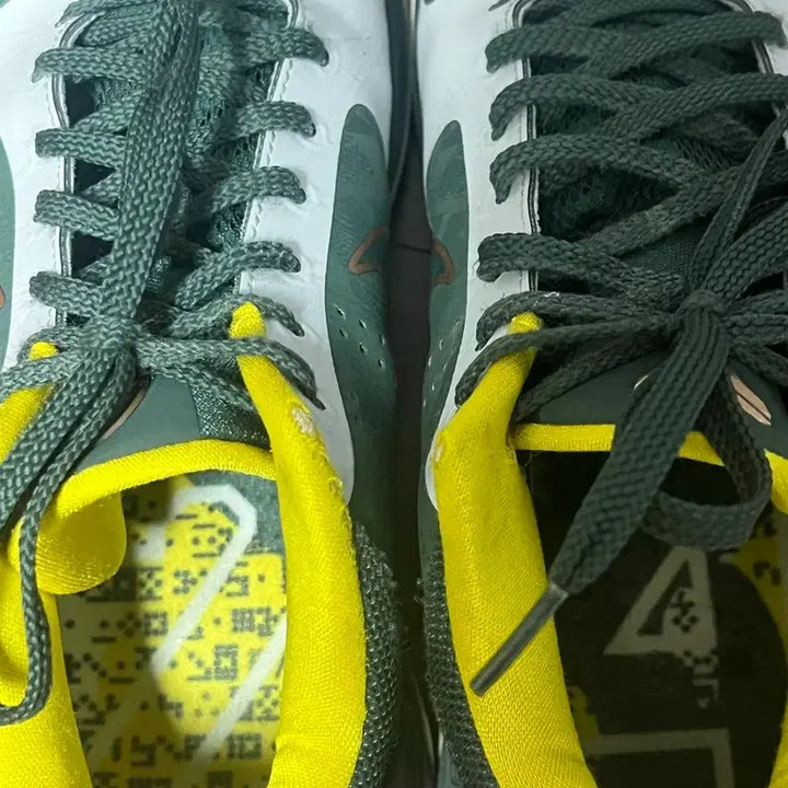 [BUNJANG] Kobe 5 EYBL / 코비5 eybl