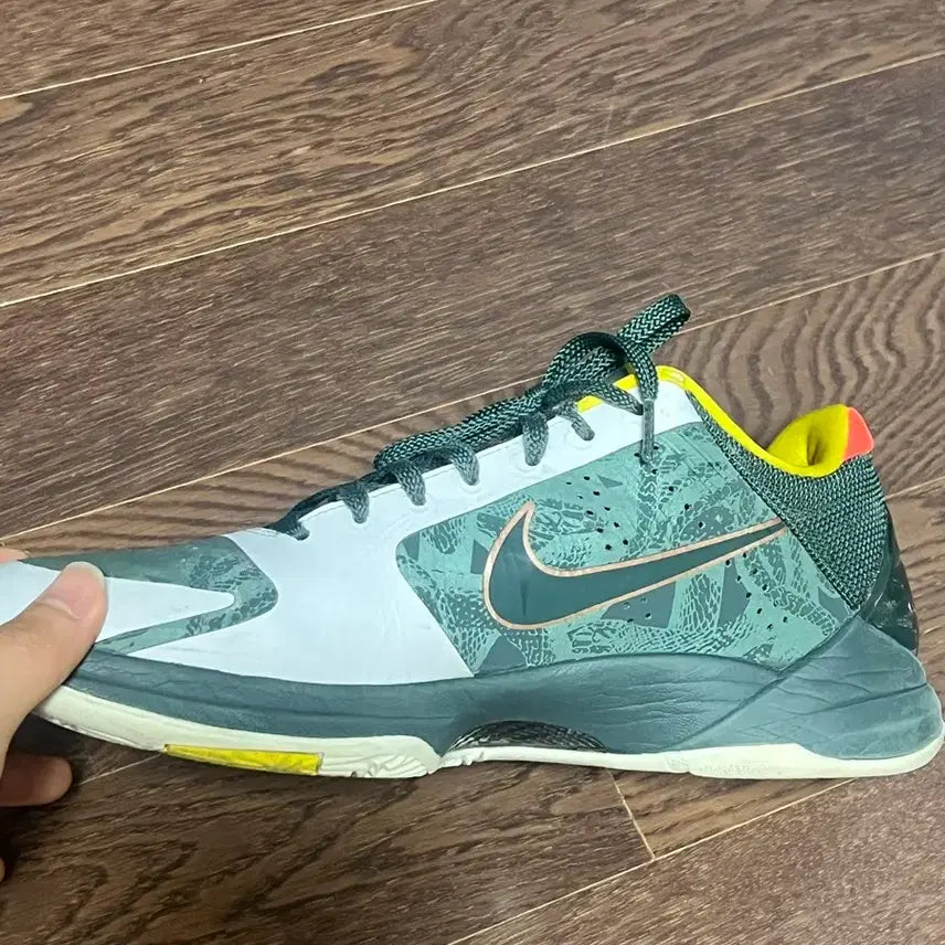 [BUNJANG] Kobe 5 EYBL / 코비5 eybl