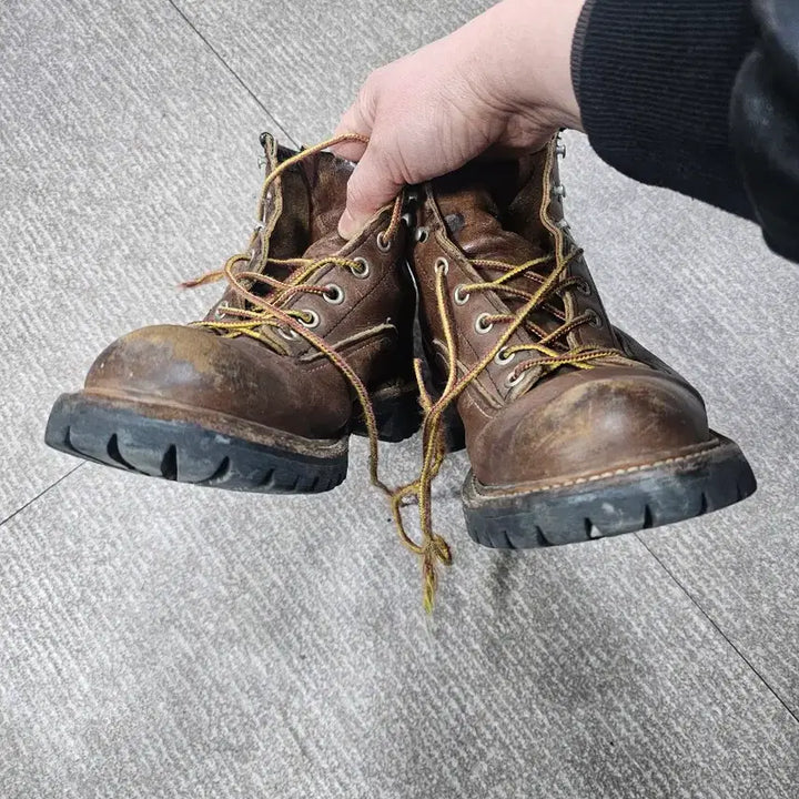 [BUNJANG] Red Wing Walker / 레드윙 워커