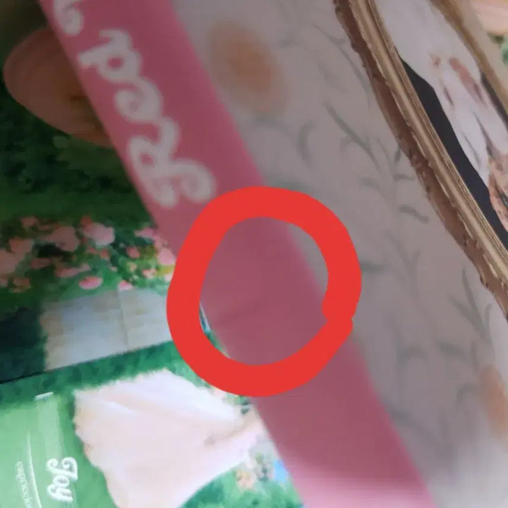 [BUNJANG] Red Velvet Feel My Rhythm Album / 레드벨벳 필마이리듬 앨범(포카x)
