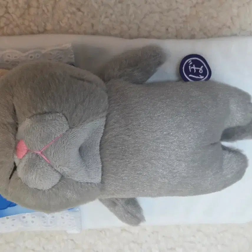 [BUNJANG] Cat Bedding Set / 택포/이불 고양이 인형 고양이 이부자리