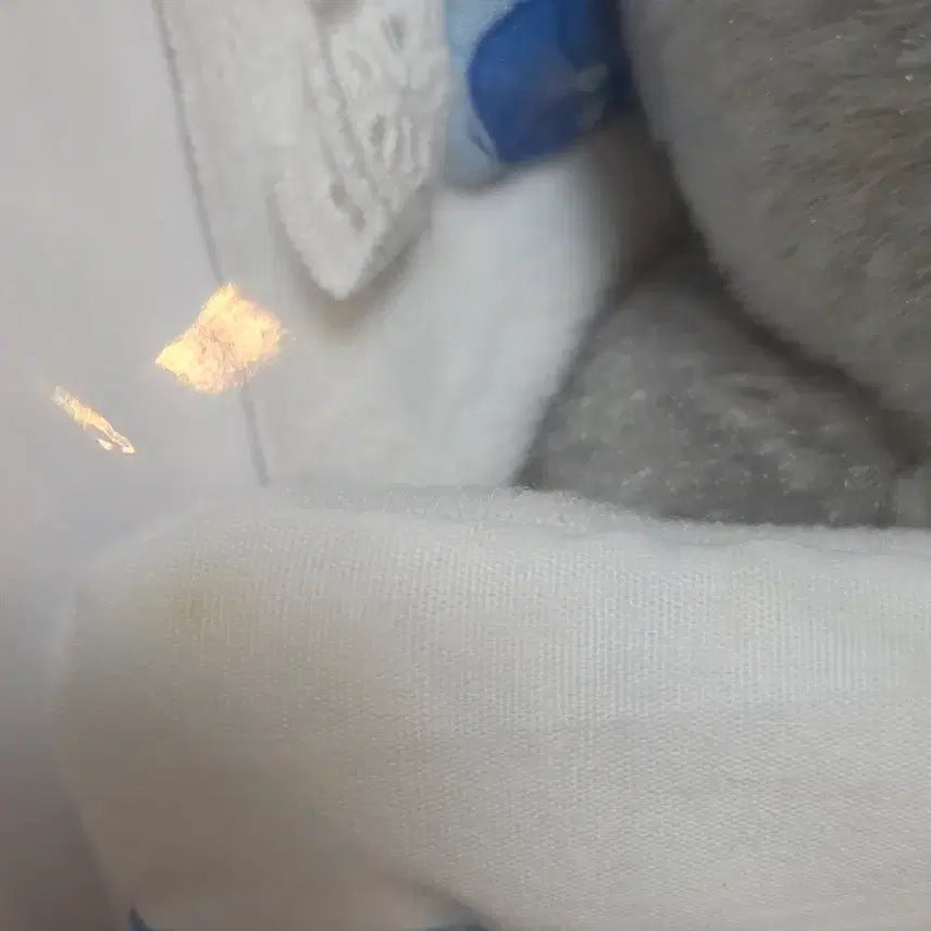 [BUNJANG] Cat Bedding Set / 택포/이불 고양이 인형 고양이 이부자리