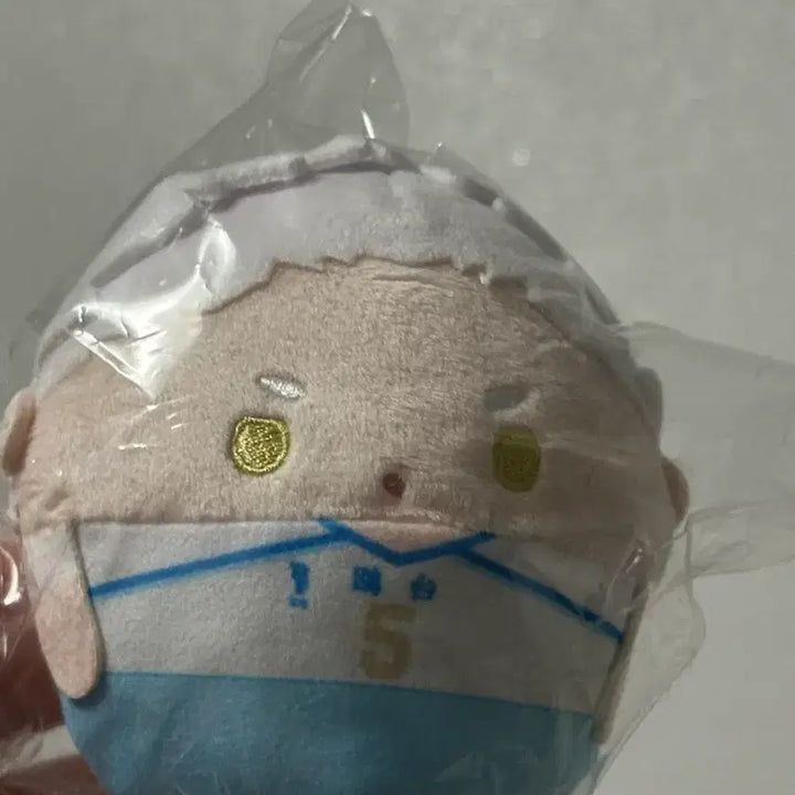 [BUNJANG] Haikyu Hoshiumi Plush Doll / 하이큐 누이쿠지 D상 후와코로링 호시우미