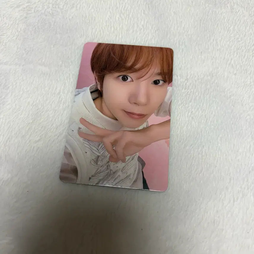 [BUNJANG] NCT WISH Ryo KMS Pop-Pop Polar Photocard / 엔시티 위시 엔위시 료 KMS 팝팝 포카 폴라 양도 판매 처분