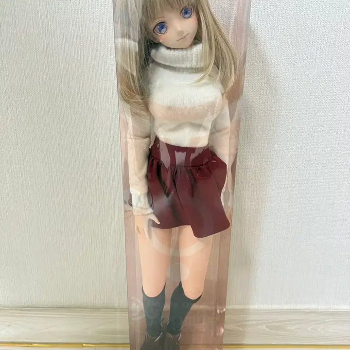 [SOLD OUT] 돌피드림