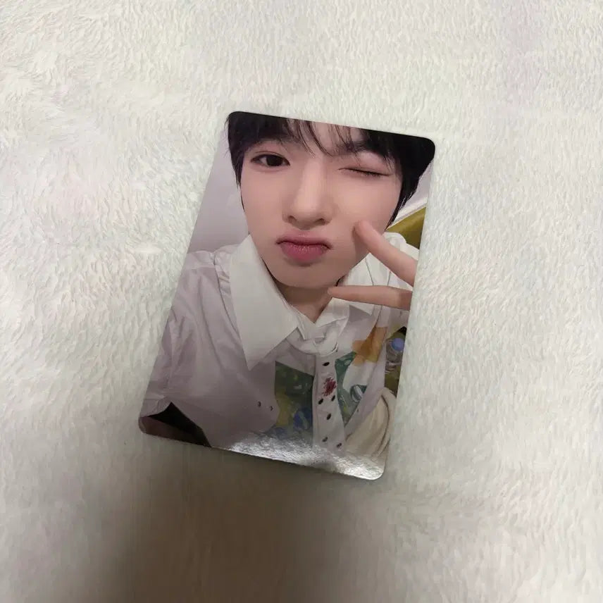 [BUNJANG] NCT WISH Sakuya KMS Photocard Polar / 엔시티 위시 엔위시 사쿠야 KMS 팝팝 포카 폴라 양도 판매 처분