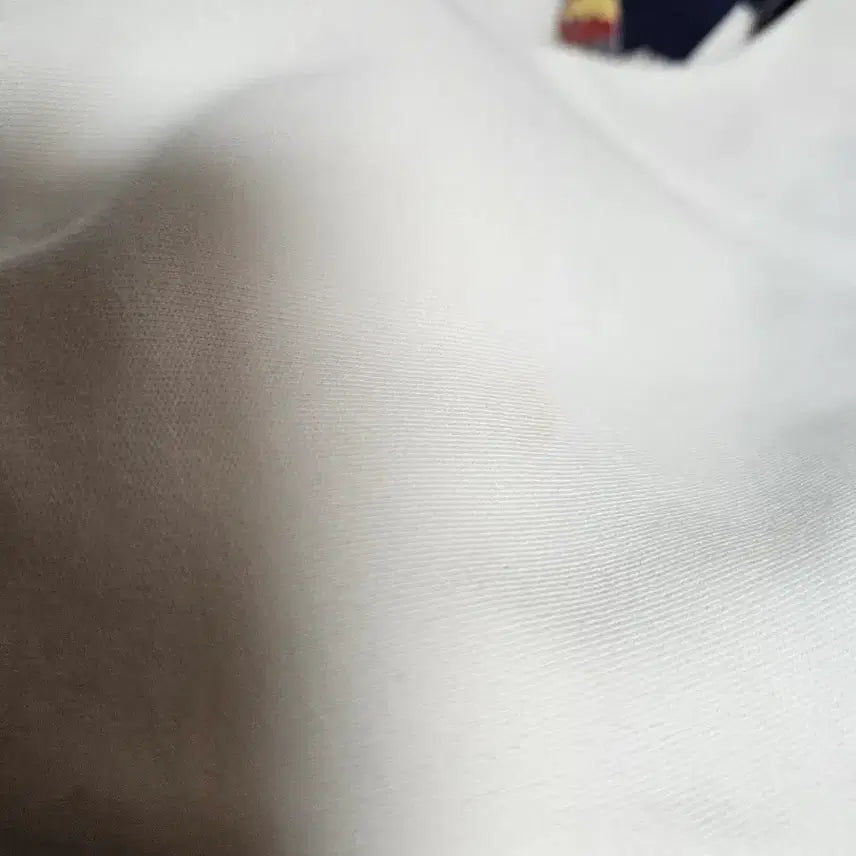 [BUNJANG] System Homme Artwork Sweatshirt / 시스템옴므 아트워크 맨투맨 100호