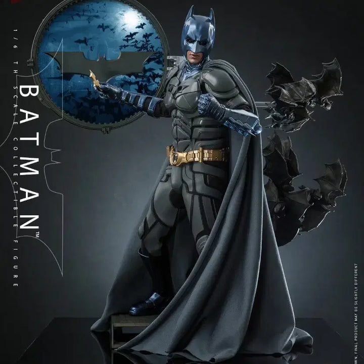 [BUNJANG] Hot Toys MMS697WB100 Batman / 핫토이 MMS697WB100 배트맨