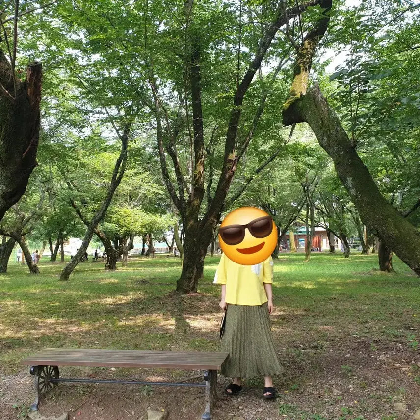 [BUNJANG] ZARA Chiffon Pleated Skirt / 자라 쉬폰 플리츠 스커트