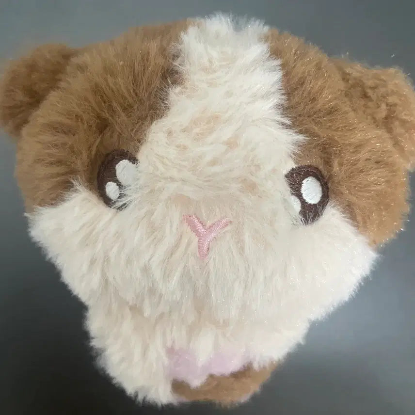 [SOLD OUT] 하루아 인형 룽기니 팔아용