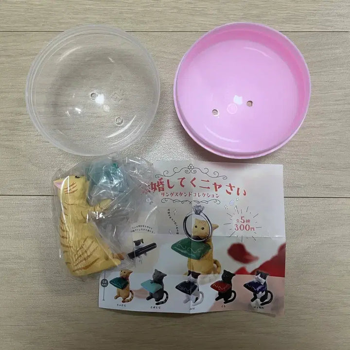 [BUNJANG] Marry Me Nyang Brown Cat Proposal Ring Gacha / 결혼해줘냥 프로포즈 반지 고양이 가챠 판매합니다. 미개봉 상품