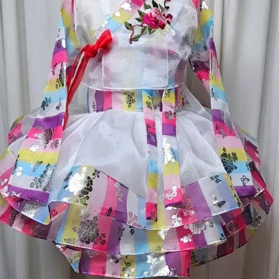 [BUNJANG] Sae-dong Hanbok Costume / 색동 한복.  장구. 난타북.  무대의상. 시스루. 몸판1겹.