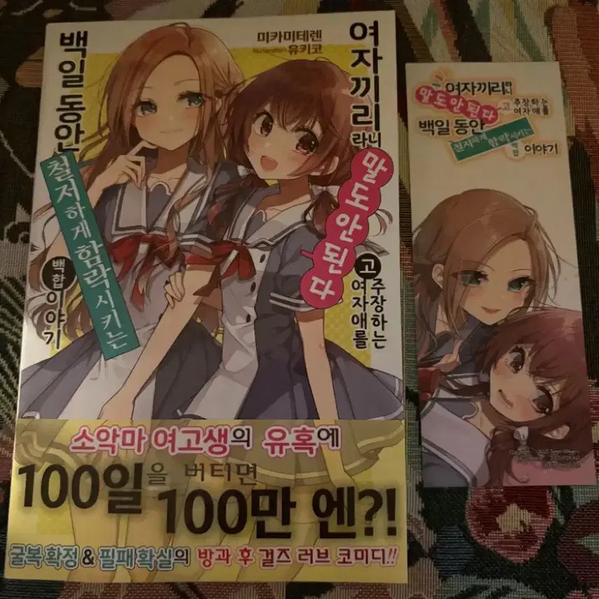[BUNJANG] Novel First Edition: 100 Days to Break / 라노벨 초판 백일함락 1권