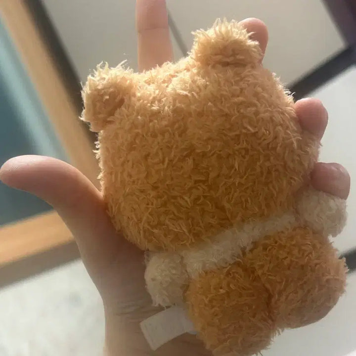 [BUNJANG] Bini Bini Doll / 1기 비니니 인형 / 반택포