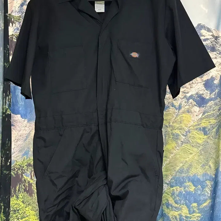 [BUNJANG] Dickies Black Short Sleeve Jumpsuit (M) / [M]디키즈 블랙 반팔 점프수트