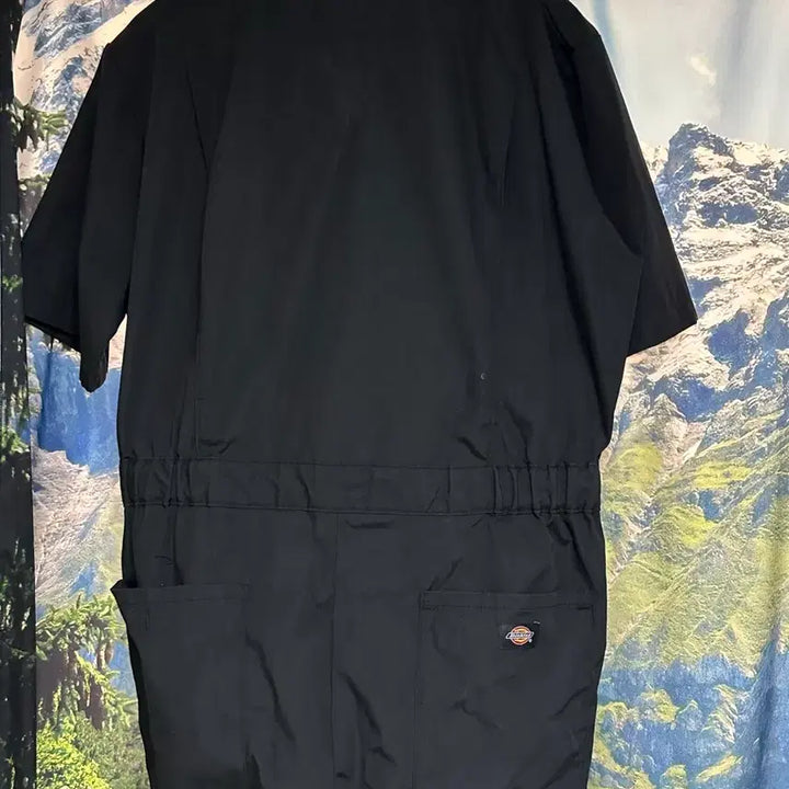[BUNJANG] Dickies Black Short Sleeve Jumpsuit (M) / [M]디키즈 블랙 반팔 점프수트