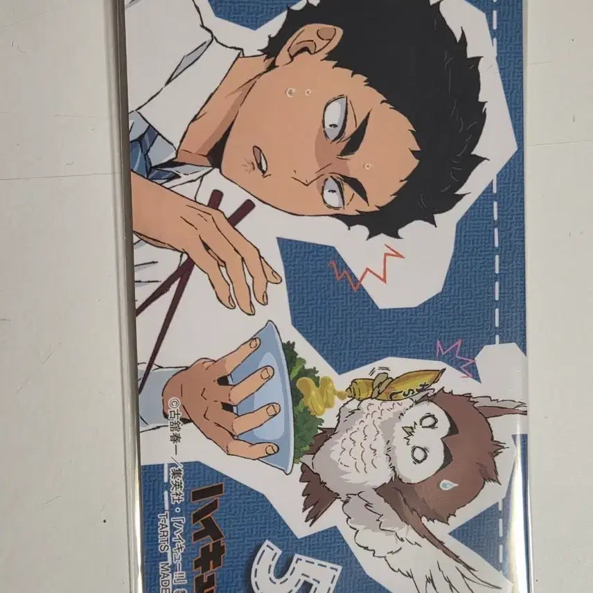 [BUNJANG] Haikyuu Akaashi Keiji Photocard / 아카아시 케이지 카드