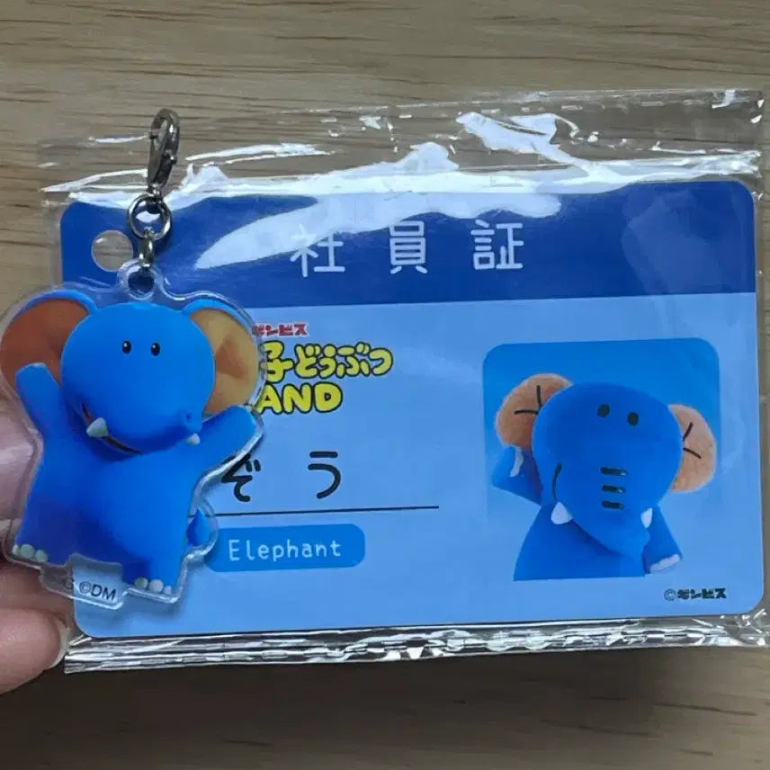 [BUNJANG] TabeKodoButsu Elephant ID Card New / 타베코도부츠 코끼리 사원증 새제품