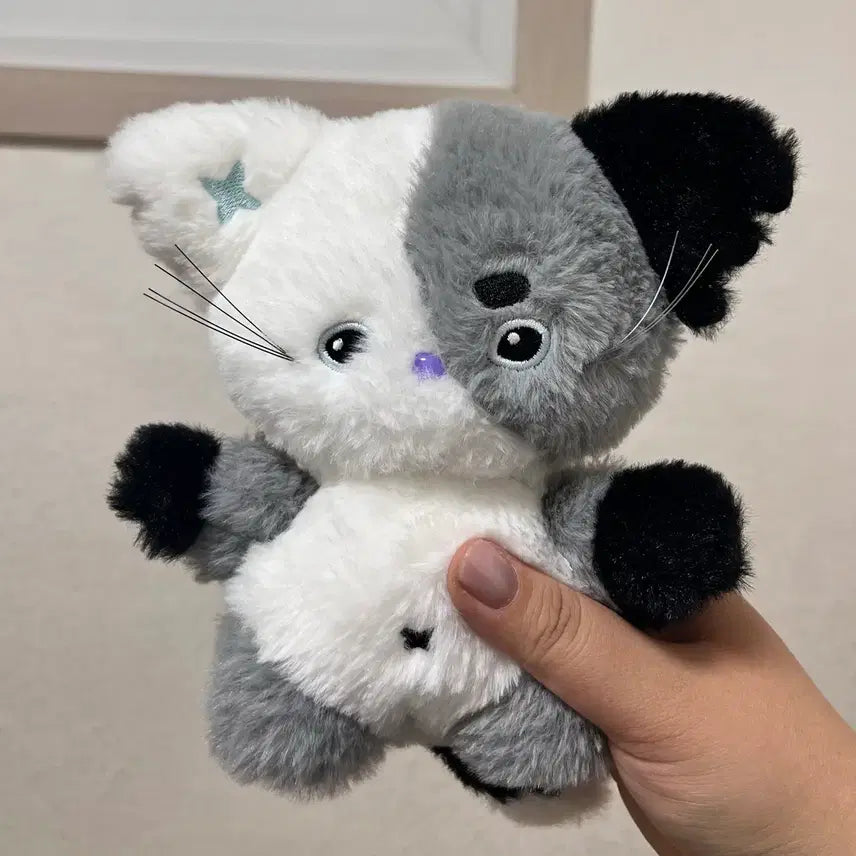 [BUNJANG] Nyangdu Unsealed 1 Time Used / 냥듀 개봉 1회 외출