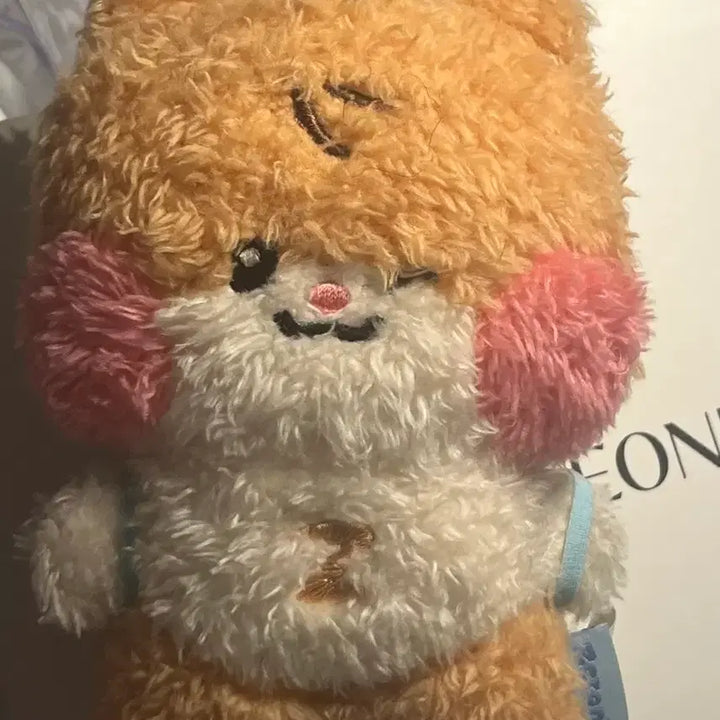 [BUNJANG] Binini Message Doll Keyring / 비니니 메시지 인형 키링