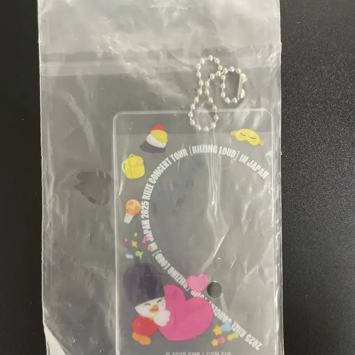 [BUNJANG] RIIZE Random Toy Photocard Holder / 라이즈 일본 랜덤토이 똘병 포카홀더