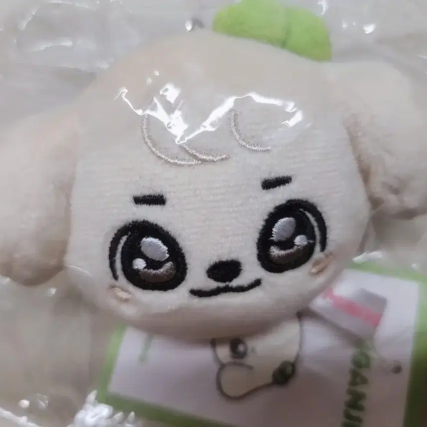 [BUNJANG] IVE An Yujin Kang Anji Face Plush Doll Keyring / 미개봉 강안지 페이스 키링 안유진 인형 키링 미니브 스쿨