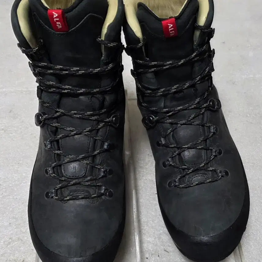 [BUNJANG] ALFA Glittertind Advance GTX Men's Hiking Boots / 알파 ALFA 전문가용 고어텍스 중등산화 트레킹화 남성 285~290