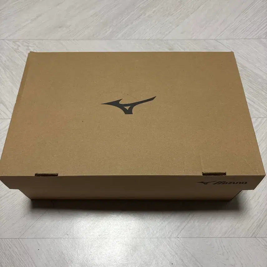 [SOLD OUT] 미즈노 웨이브 몬스터 복싱화 255