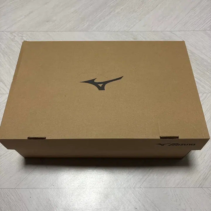 [SOLD OUT] 미즈노 웨이브 몬스터 복싱화 255