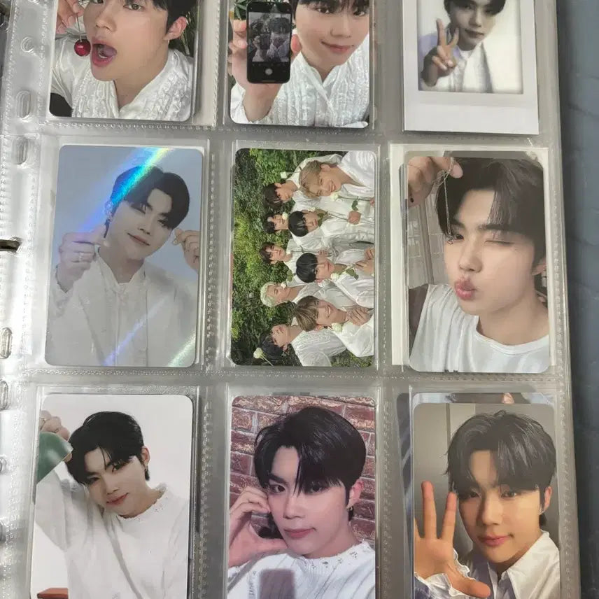 [BUNJANG] ZEROBASEONE Park Gunwook Photocard / 제로베이스원 박건욱 포카