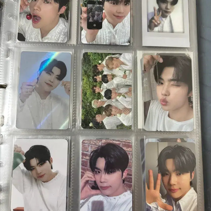 [BUNJANG] ZEROBASEONE Park Gunwook Photocard / 제로베이스원 박건욱 포카