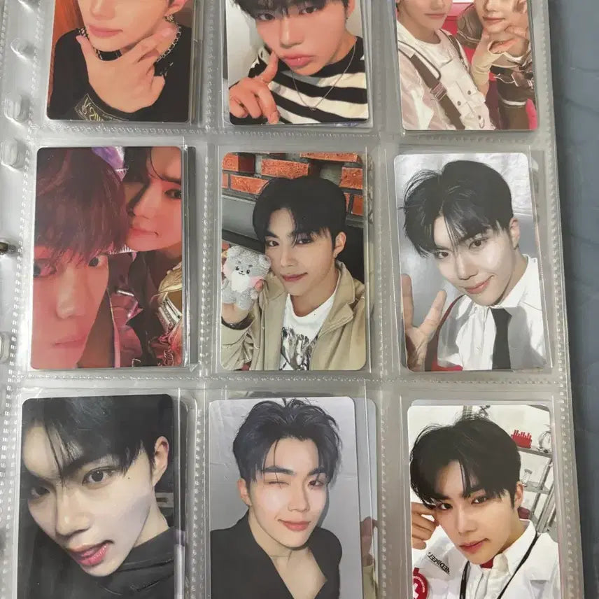 [BUNJANG] ZEROBASEONE Park Gunwook Photocard / 제로베이스원 박건욱 포카