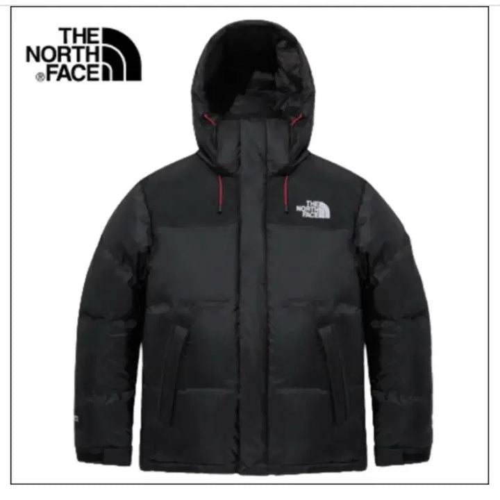 [BUNJANG] Summit Pro Down / [삽니다] 노스페이스 서밋 프로 다운